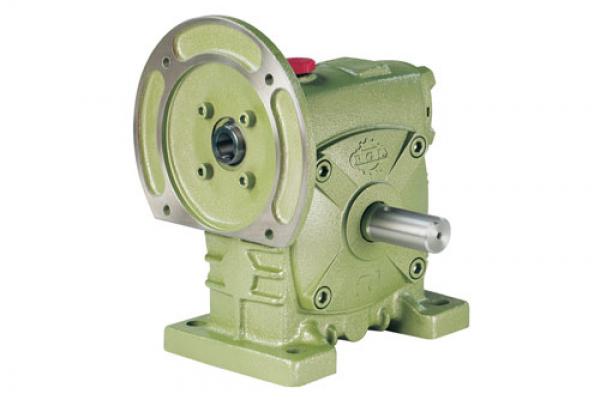 Single-Stage Direct Motor Coupled Vertical Reducer